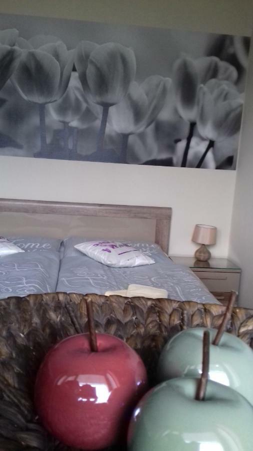 Apartment Provensal Liptovský Mikuláš Extérieur photo